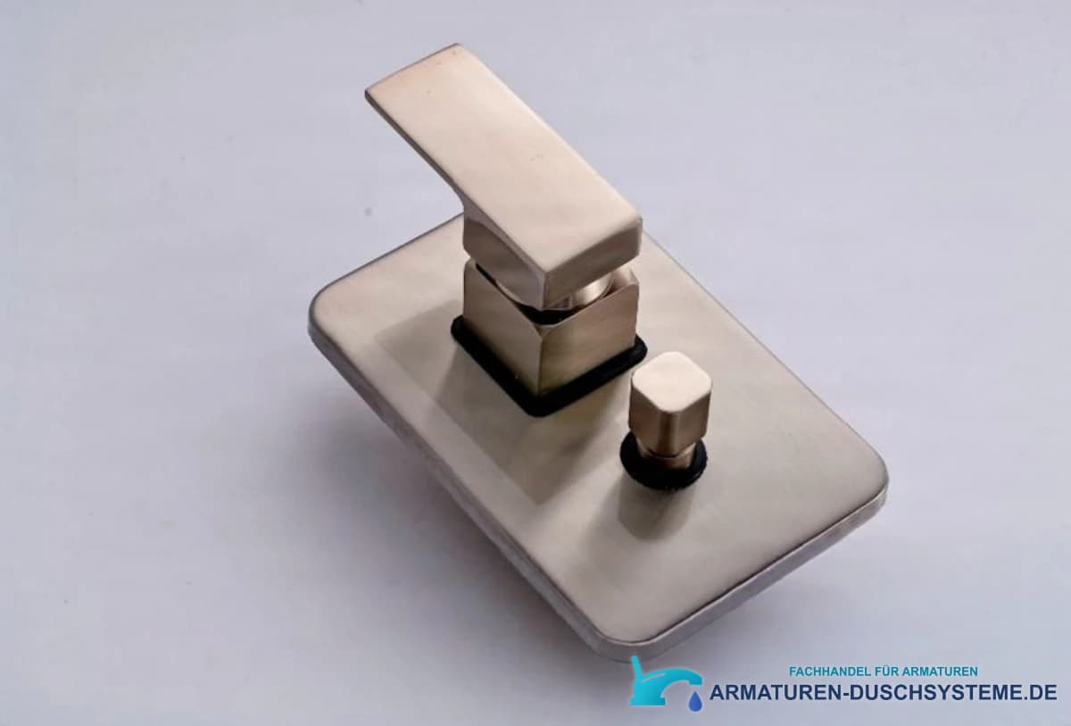 Detail der Armatur und des Umschalters am Unterputz-Duschpaneel PT61497